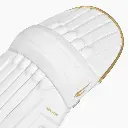 passion2-0.batting-leg-guard-web-images-1_4_.webp