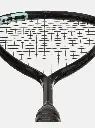 speed-120-sb-2023_2.webp