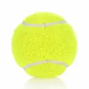 1500x1500pxImages-2024-10-10T163012.634.webp