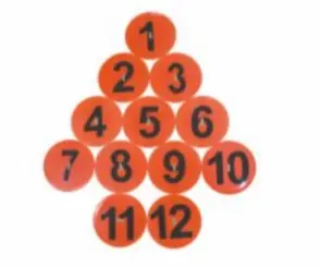 Cougar Numbered Poly Spot AD-008