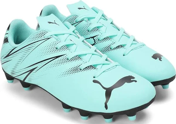 PUMA F/Shoes Attacanto 