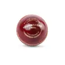 SG Leather Ball  