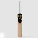 SG Ew Bat HP T-20