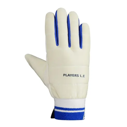 DSC WK Gloves Co Player 