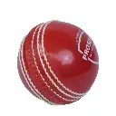 sg-training-cricket-ball-adult-sg-prosoft-cricket-ball-38519017013428_1800x1800.webp