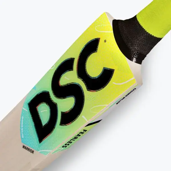 dsc-cricket-warrior-kashmir-willow-bat-3.webp