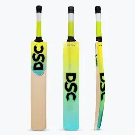 dsc-cricket-warrior-kashmir-willow-bat-1.webp