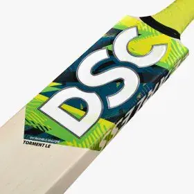 dsc-cricket-kashmir-willow-torment-incredible-willow-bat-3.webp