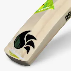 dsc-cricket-kashmir-willow-torment-incredible-willow-bat-6.webp