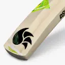 dsc-cricket-kashmir-willow-torment-incredible-willow-bat-6.webp