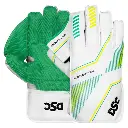 DSCCondorMotionWicketKeepingGloves_1_600x.webp