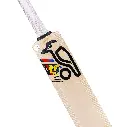 BeastPro6.2CricketBat-8.webp