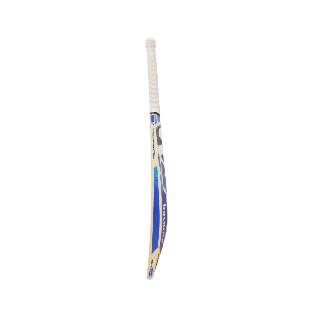 Untitled_design_2_12daa36d-c319-48d1-ae60-559ccff79336.webp