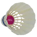 61mqZlnxGrL.webp