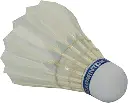 61nEWYlP5NL._AC_UF350,350_QL80_.webp
