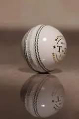 0-155-white-t-20-cricke-ball-2piece-ball-standard-7-5-1-ball-13-original-imahmj8ebrzfyejc.webp
