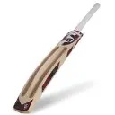 images (23).webp