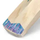 dsc-blu-kashmir-willow-cricket-bat-handle-uper-toe_5.webp