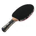 Waldner3000-7.webp