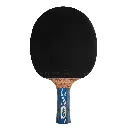 DonicLegendsTTBatPltnam2.webp