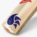 dsc-krunch-kashmir-willow-cricket-bat-_1.webp