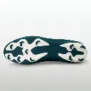 1664AGARABIANGREEN3.webp