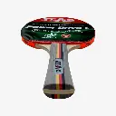 316.2_Stag_TT_Bat_IPOWERDRIVE.webp