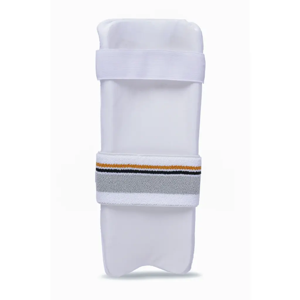 Untitled_design_1_2909a2b4-fc37-448c-adea-69c9779c8a69.webp