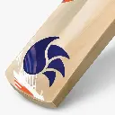 dsc-cricket-bat-kashmir-willow-krunch-44.webp