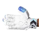 sg-batting-gloves-for-right-handed-batsman-adult-sg-litevate-cricket-batting-gloves-37989108940980.webp