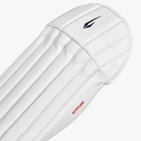 dsc-attitude-wicket-keeping-leg-guard-4.webp