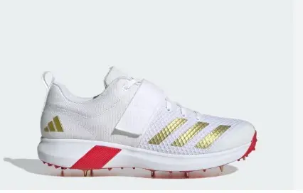 WhatsApp Image 2025-11-05 at 5.44.11 PM.webp