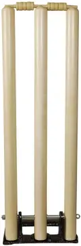cricket-wooden-spring-back-stump-set-sanr-original-imafwz477bqb8nfy.webp