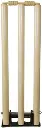 cricket-wooden-spring-back-stump-set-sanr-original-imafwz477bqb8nfy.webp