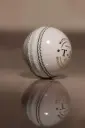 Mt Leather Ball Club White