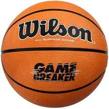 Wilson Basketball Game Breaker 7
