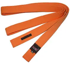 USI Belt Coloured Orange 280cm (417bc)   