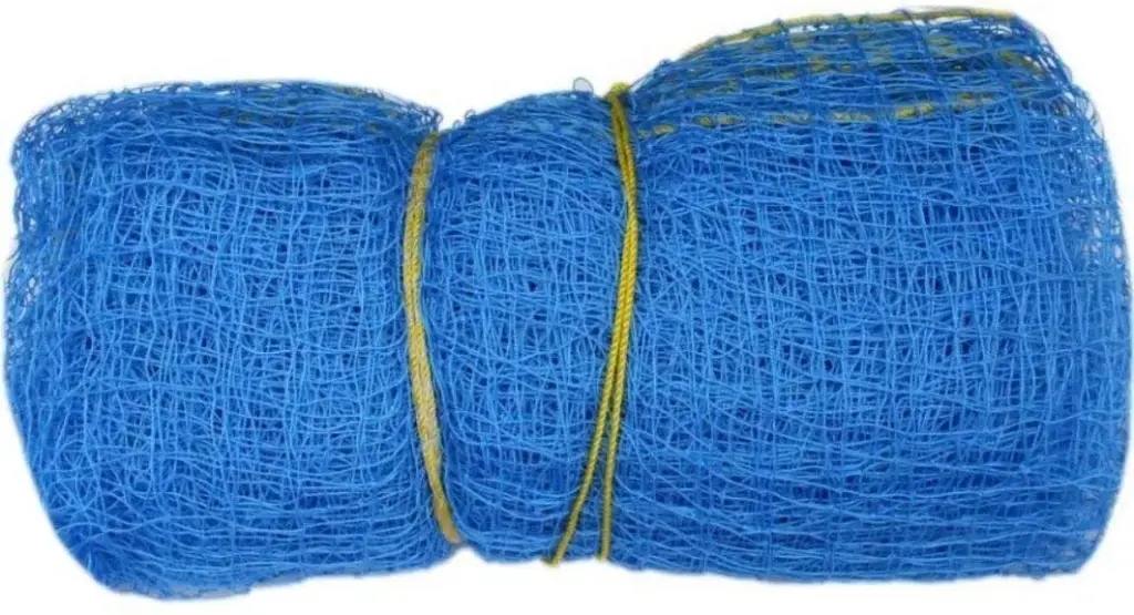Triumph Cricket Net Special 