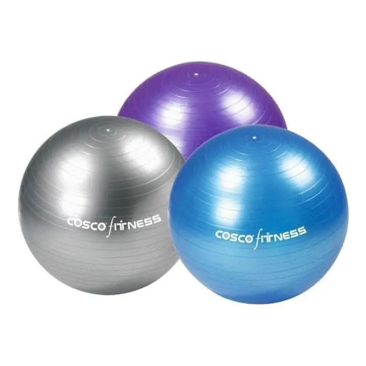 Cosco Gym Ball  
