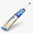 Dsc Ew Bat Blu 111  