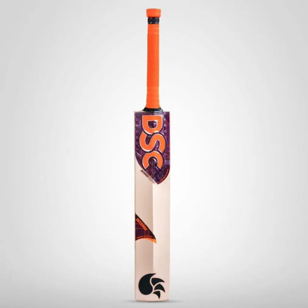 Dsc Ew Bat Int Assault  