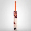 Dsc Ew Bat Int Assault  