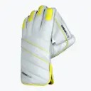 DSC WK Gloves Co Flite 