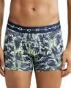 Jockey NY02-0205 Asstd  