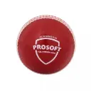 SG Synthetic Ball Prosoft   