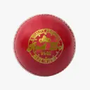 DSC Leather Ball Red Dot