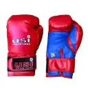 USI Bouncer Boxing Gloves 612BV