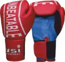 USI Novice Boxing Gloves 612NV