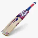 DSC KW Bat Int Zeal 