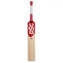 DSC KW Bat IBIS 33